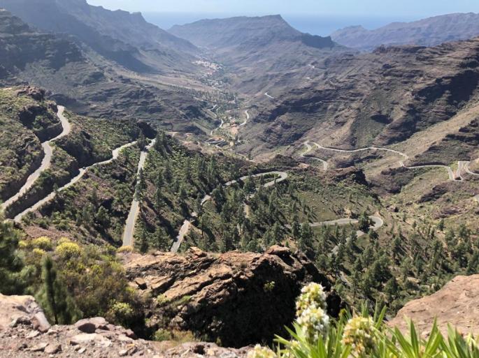 WhatsApp Image 2019-02-19 at 16.36.21